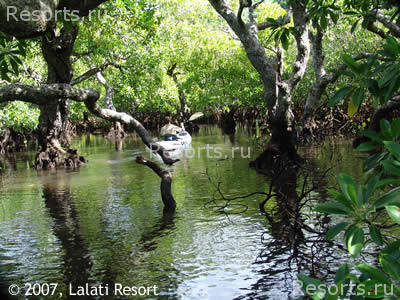 Lalati Resort & Spa 12